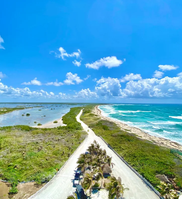 15 Hoạt Động Không Thể Bỏ Lỡ Tại Cozumel, Mexico