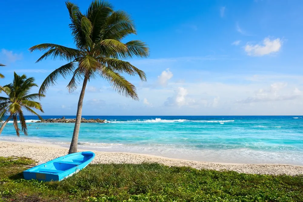 15 Hoạt Động Không Thể Bỏ Lỡ Tại Cozumel, Mexico