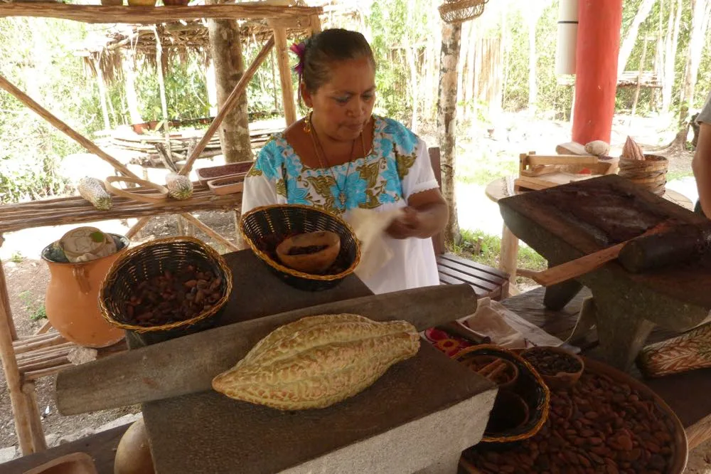 15 Hoạt Động Không Thể Bỏ Lỡ Tại Cozumel, Mexico
