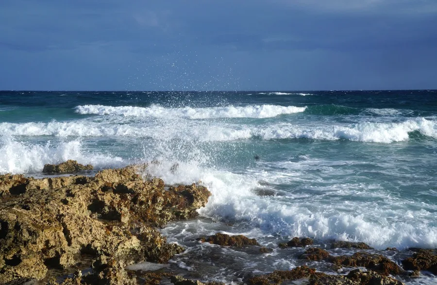 15 Hoạt Động Không Thể Bỏ Lỡ Tại Cozumel, Mexico