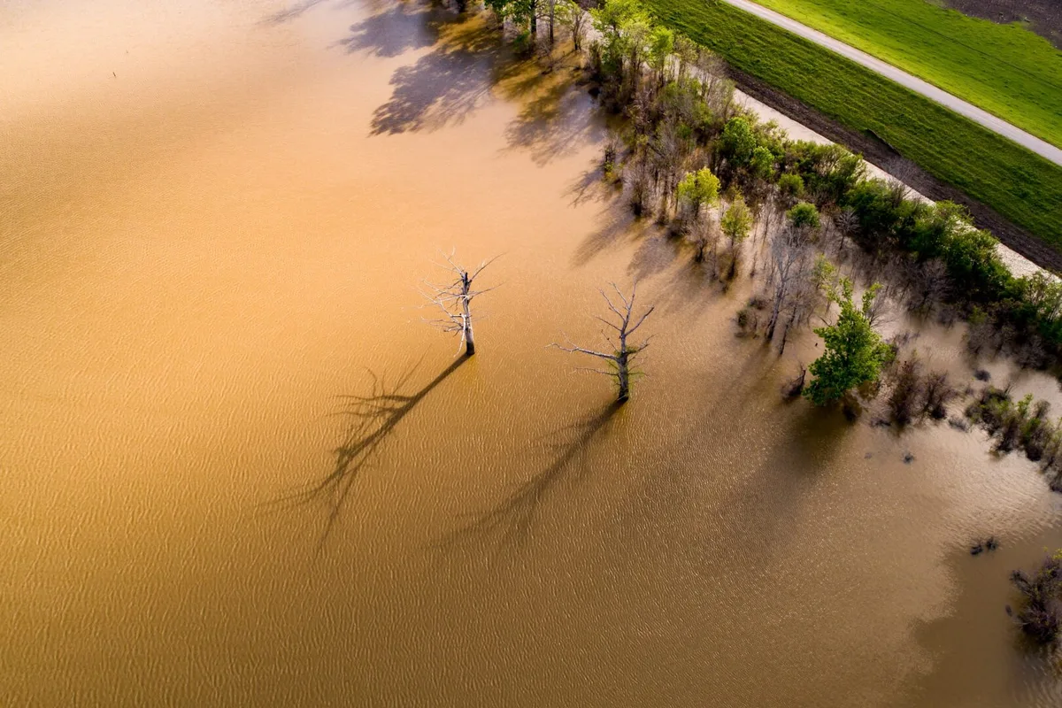 Âm thanh Mississippi: Hành Trình Qua Các Điểm Đến Blues