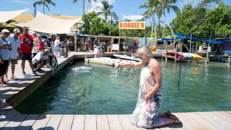 Breakfast Bliss in Islamorada, Florida