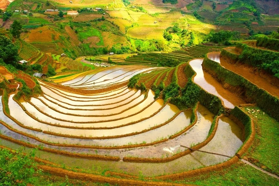 Cẩm Nang Chụp Ảnh Tại Mù Cang Chải: Điểm Đến Tuyệt Vời Cho Các Nhà Nhiếp Ảnh