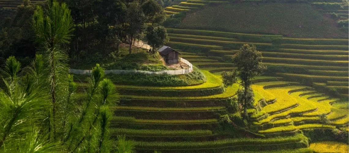 Cẩm Nang Chụp Ảnh Tại Mù Cang Chải: Điểm Đến Tuyệt Vời Cho Các Nhà Nhiếp Ảnh