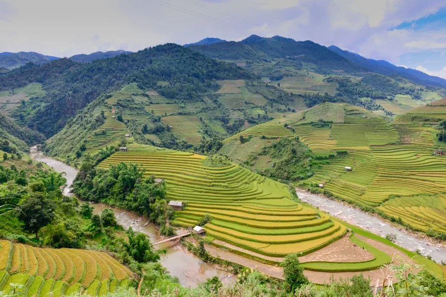 Cẩm Nang Du Lịch Mu Cang Chải: Mọi Điều Bạn Cần Biết