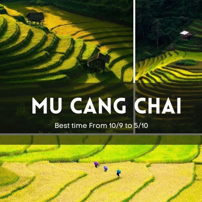 Cẩm Nang Du Lịch Mu Cang Chải: Mọi Điều Bạn Cần Biết