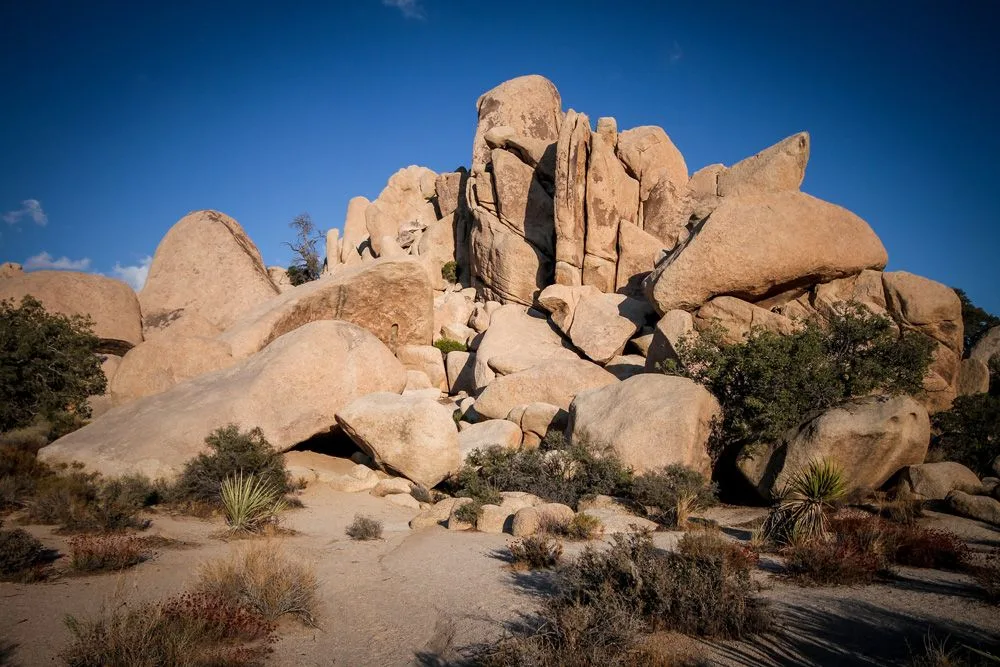 Chinh Phục Vẻ Đẹp Huyền Bí Tại Công Viên Quốc Gia Joshua Tree