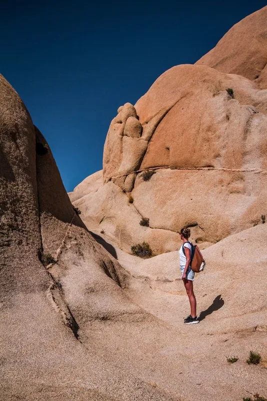 Chinh Phục Vẻ Đẹp Huyền Bí Tại Công Viên Quốc Gia Joshua Tree