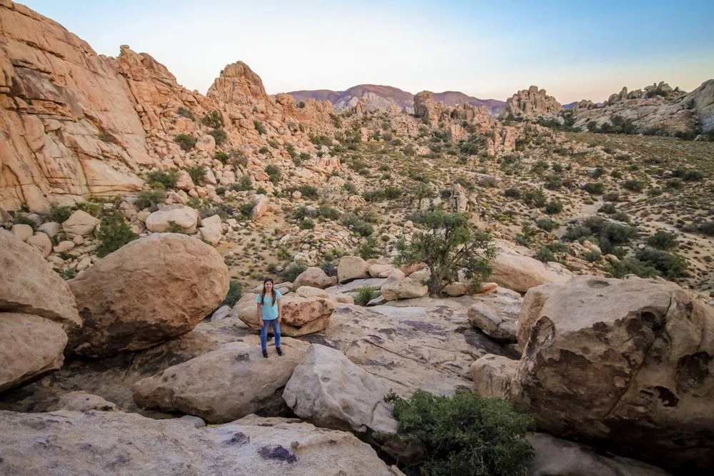 Chinh Phục Vẻ Đẹp Huyền Bí Tại Công Viên Quốc Gia Joshua Tree