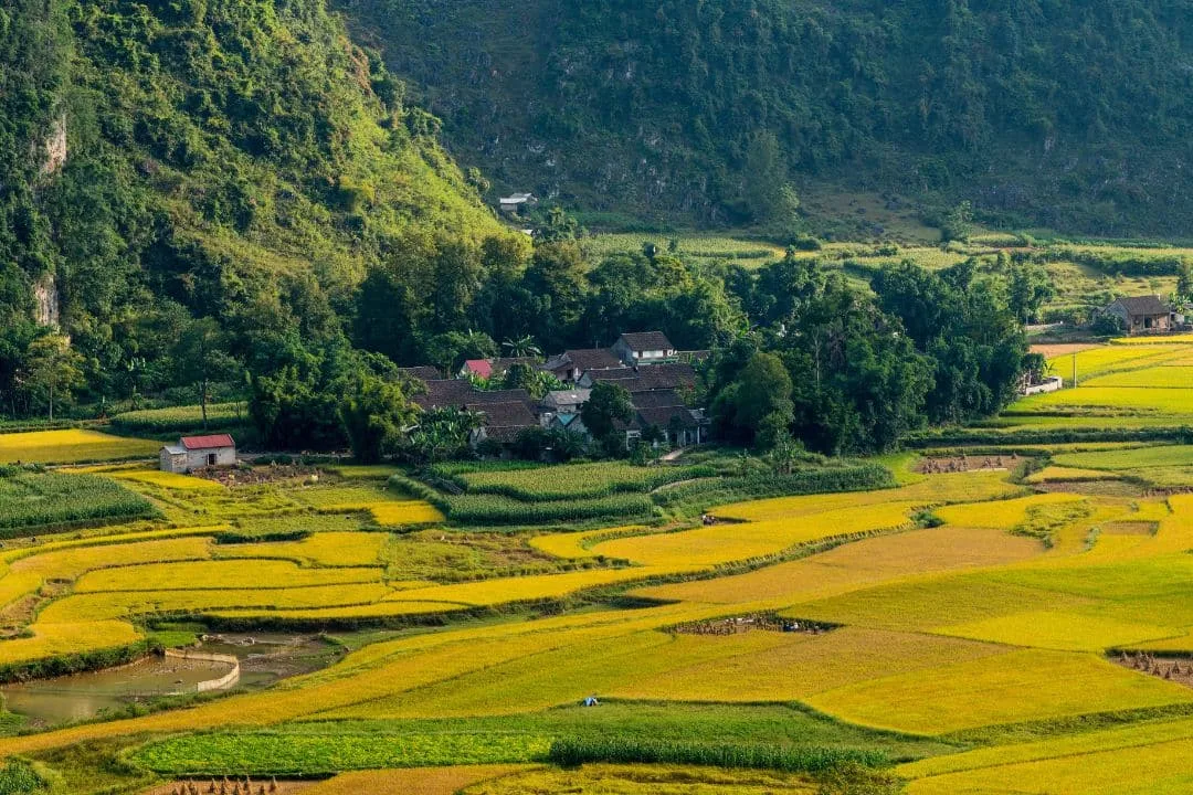 Chọn Thời Điểm Lý Tưởng Để Đến Vịnh Hạ Long
