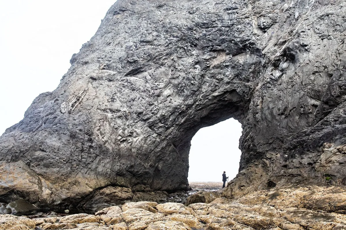 Chuyến Đi Chinh Phục Olympic National Park trong 2-3 Ngày