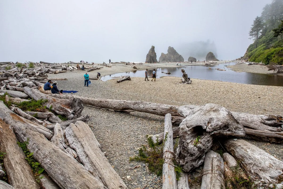 Chuyến Đi Chinh Phục Olympic National Park trong 2-3 Ngày
