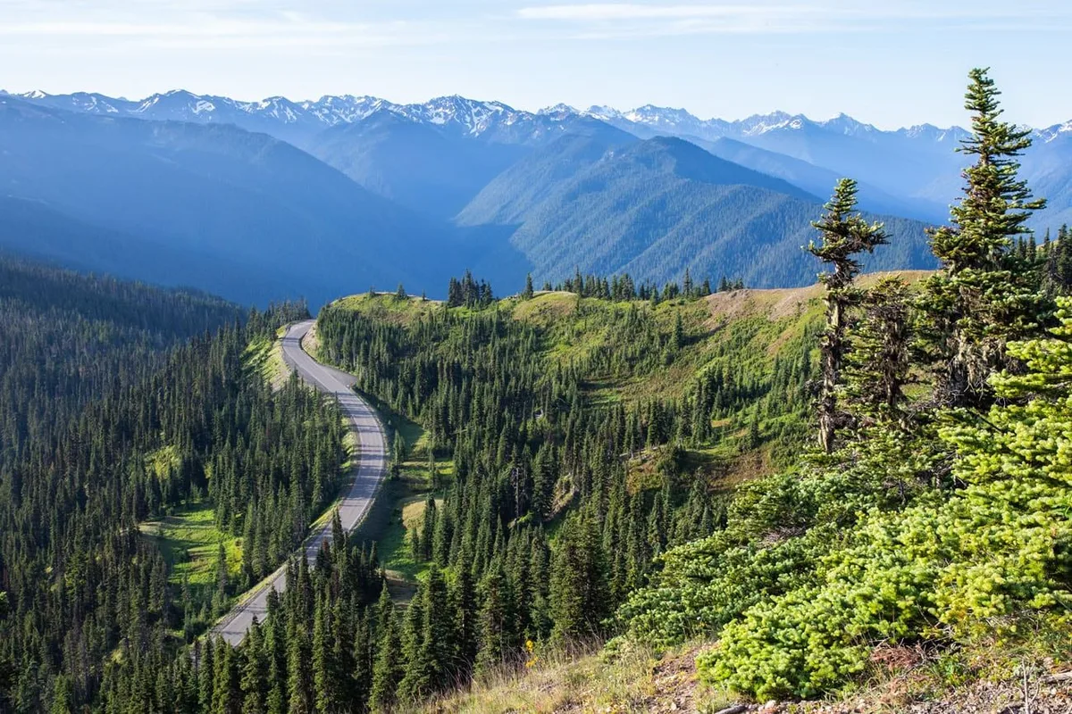Chuyến Đi Chinh Phục Olympic National Park trong 2-3 Ngày