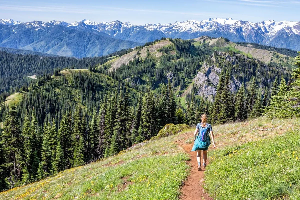 Chuyến Đi Chinh Phục Olympic National Park trong 2-3 Ngày