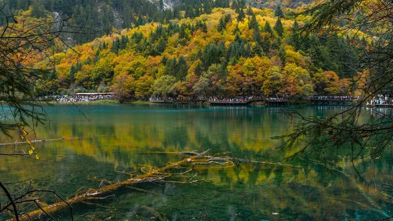 Chuyến Đi Độc Lập Đến Jiuzhaigou - Bí Kíp Không Thể Bỏ Qua