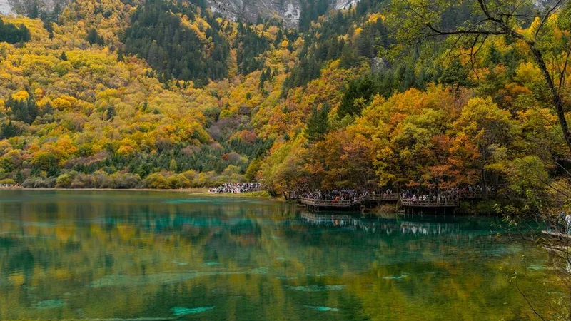 Chuyến Đi Độc Lập Đến Jiuzhaigou - Bí Kíp Không Thể Bỏ Qua