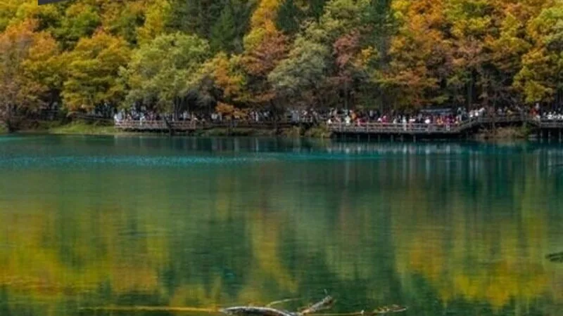 Chuyến Đi Độc Lập Đến Jiuzhaigou - Bí Kíp Không Thể Bỏ Qua