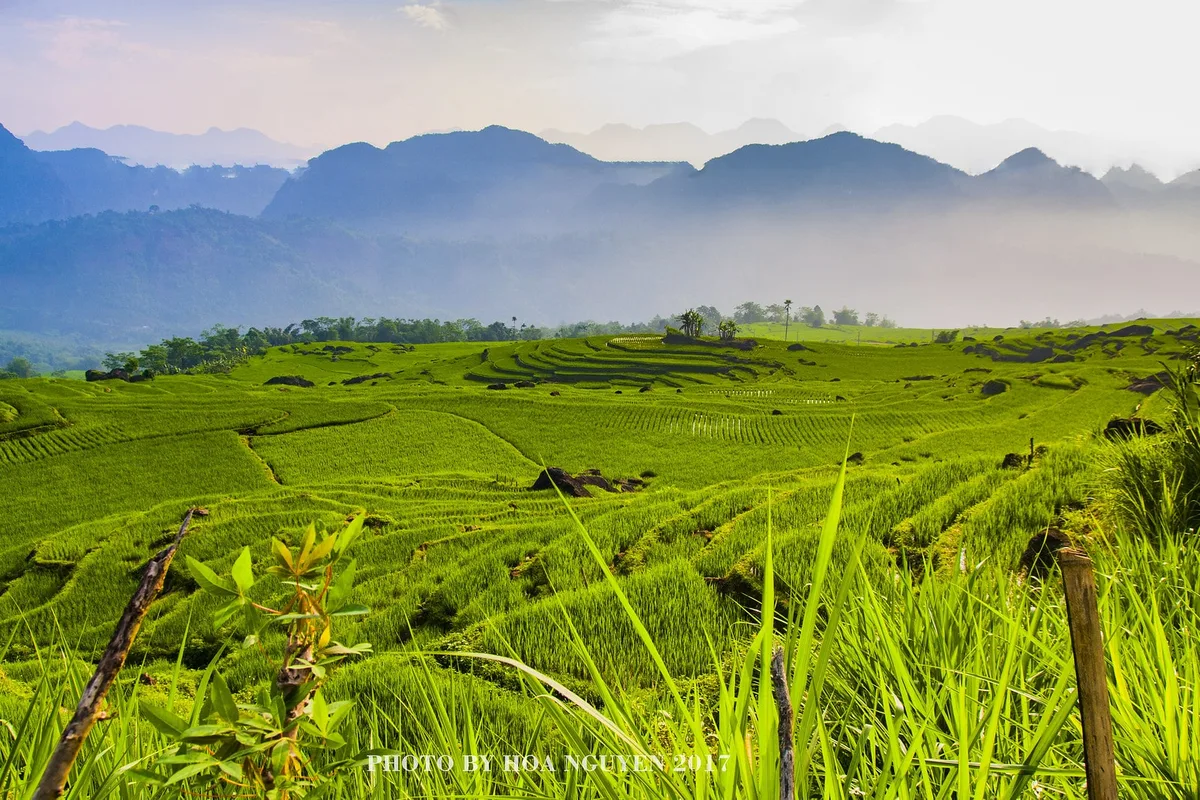 Đi Ngắm Động Vật Hoang Dã Ở Việt Nam: Chỗ Nào Nên Đi?