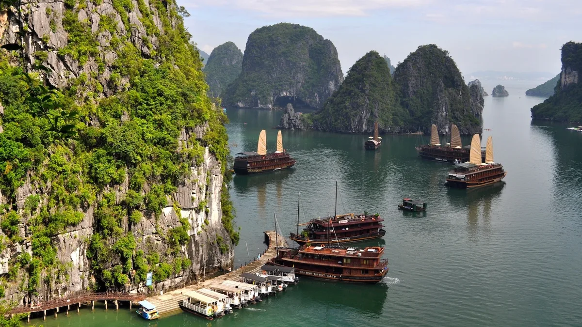 Đi Ngắm Động Vật Hoang Dã Ở Việt Nam: Chỗ Nào Nên Đi?