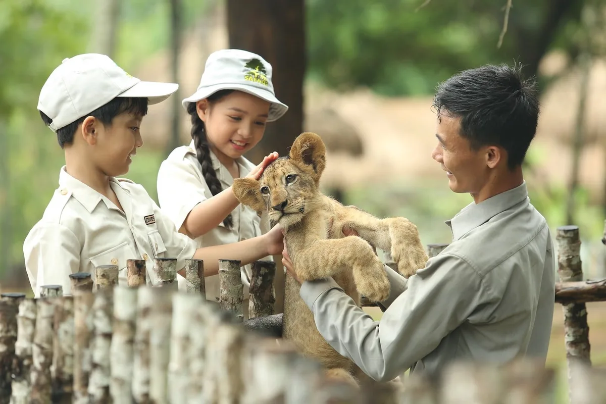 Đi Ngắm Động Vật Hoang Dã Ở Việt Nam: Chỗ Nào Nên Đi?