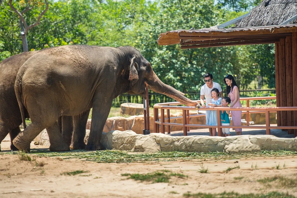 Đi Ngắm Động Vật Hoang Dã Ở Việt Nam: Chỗ Nào Nên Đi?