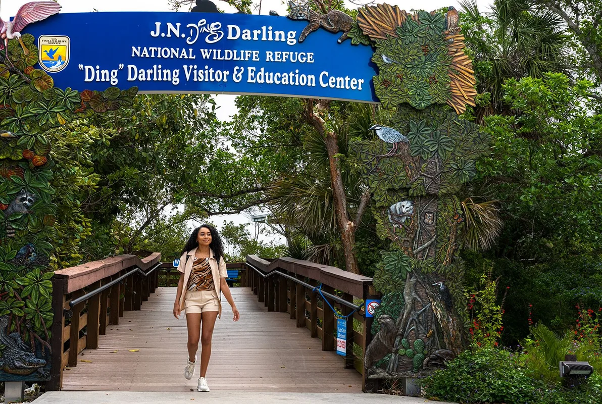 Du Lịch Một Mình Tại Southwest Florida: Thư Giãn Giữa Thiên Nhiên