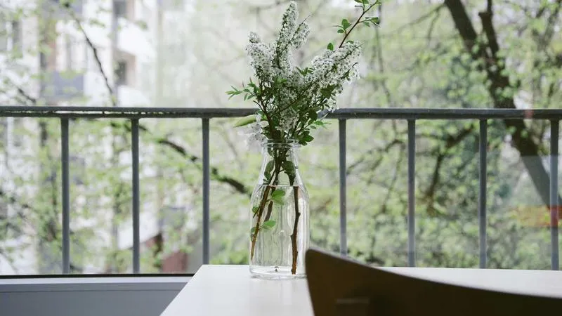 Khám Phá Văn Hóa Bản Địa 2