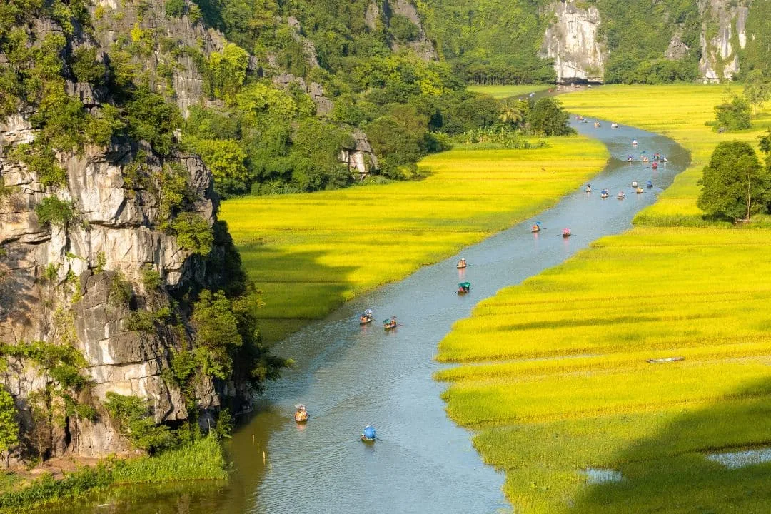 Hà Nội - Ninh Bình: Lịch Trình Chuyến Đi Một Ngày Chi Tiết và Hữu Ích