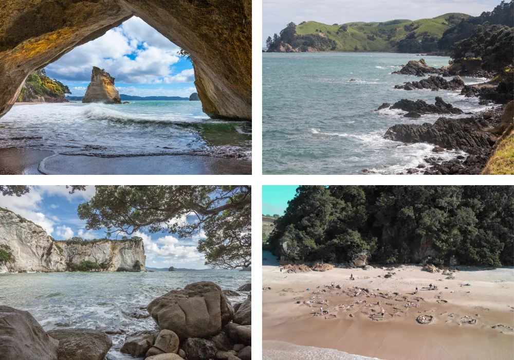 Hành Trình Campervan Đầy Tiết Kiệm Ở Úc và New Zealand