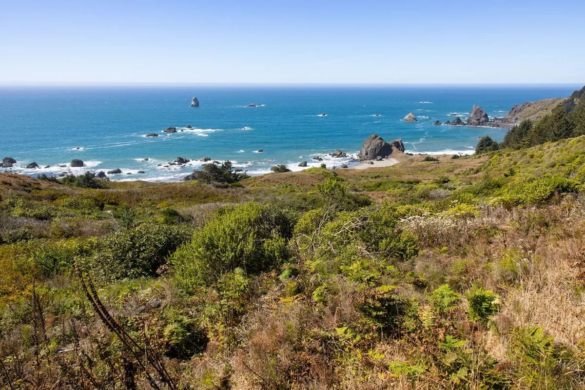 Hành Trình Ngắm Cảnh Dọc Bờ Biển Oregon – 12 Dặm Tuyệt Mỹ