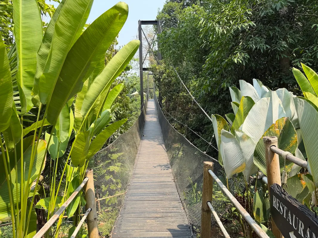 A Special Birthday Journey in Thailand's Golden Triangle