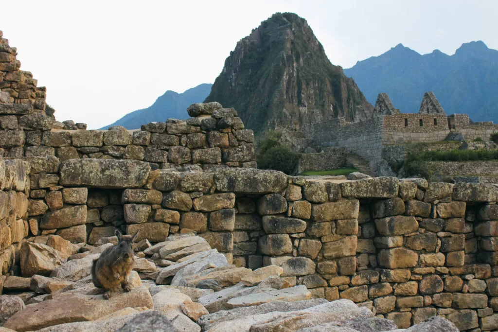 Hướng Dẫn Du Lịch Machu Picchu: Tuyến Đường, Vé, Đi Bộ và Di Chuyển