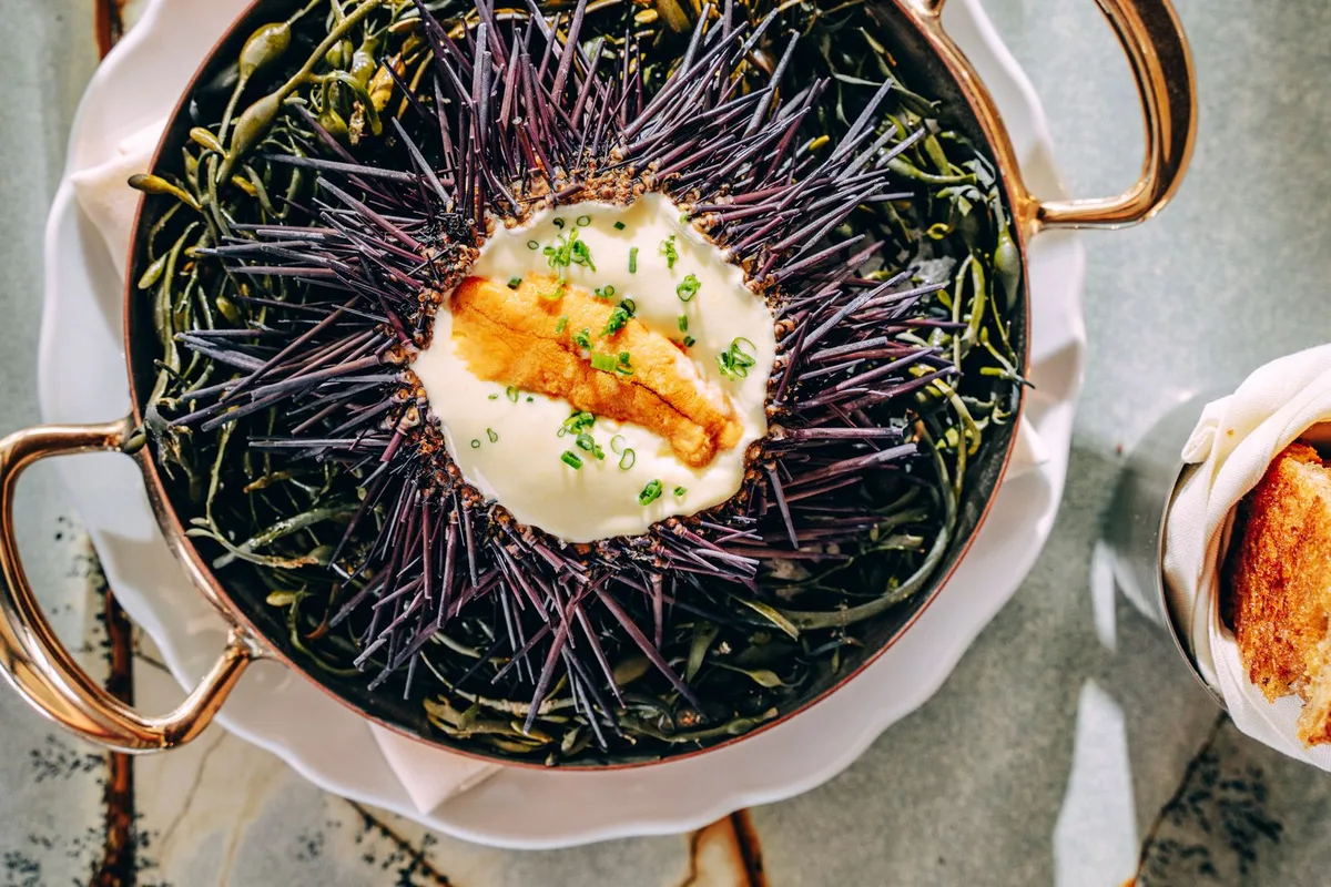 Khám Phá Ẩm Thực San Diego: Nơi Hương Vị Tỏa Sáng