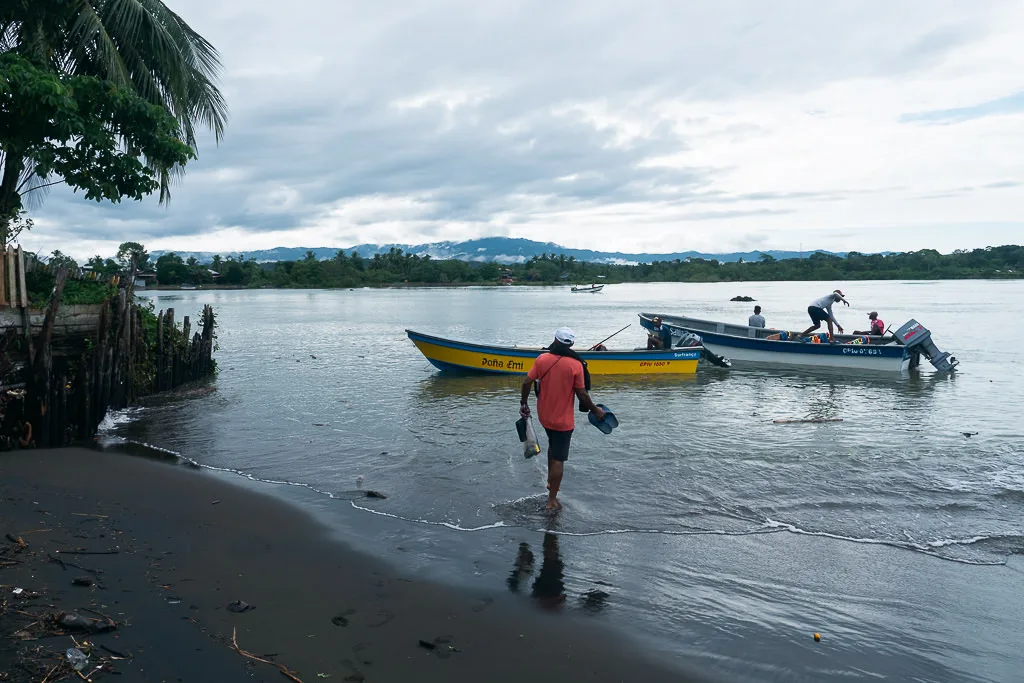 Khám Phá Bahía Solano: Ngắm Cá Voi & Thiên Nhiên Hoang Dã Tại Bờ Tây Colombia