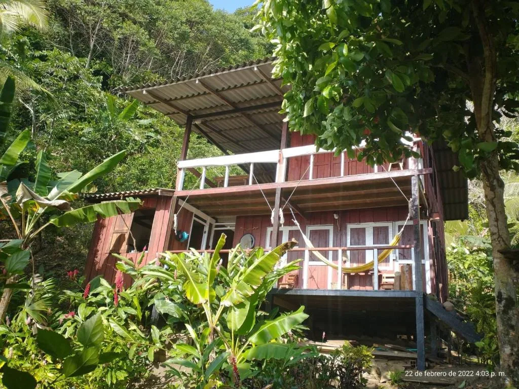 Khám Phá Bahía Solano: Ngắm Cá Voi & Thiên Nhiên Hoang Dã Tại Bờ Tây Colombia