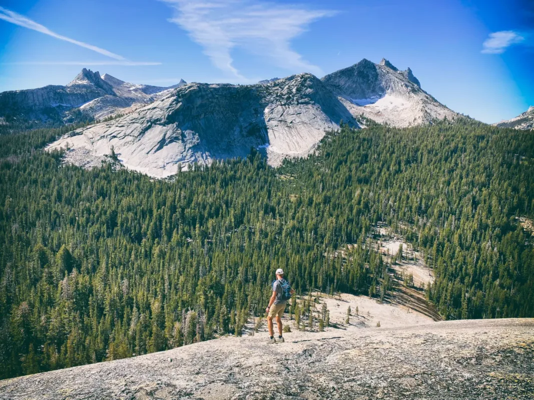 Khám Phá California: Hành Trình Chơi Đùa Đầy Thú Vị