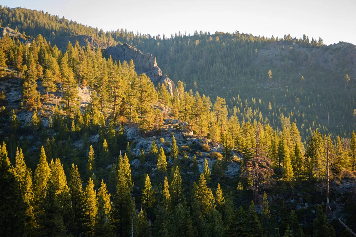 Khám Phá California: Hành Trình Chơi Đùa Đầy Thú Vị