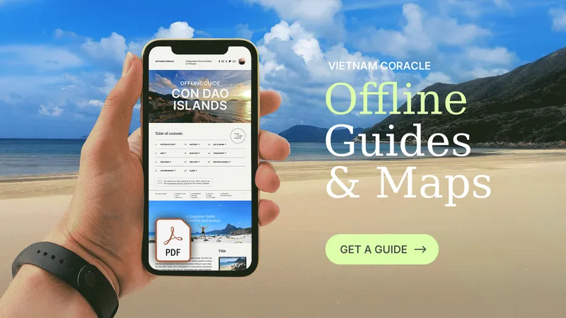 Khám Phá Đồng Tháp Mười Bí Ẩn Tại Vườn Quốc Gia Tràm Chim
