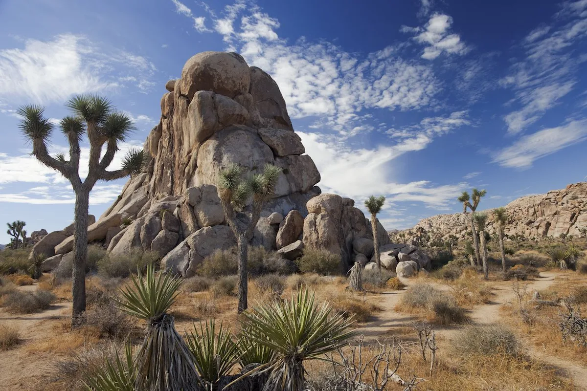 Khám Phá Hoang Mạc California: Nơi Thiên Nhiên Khơi Gợi Cảm Hứng
