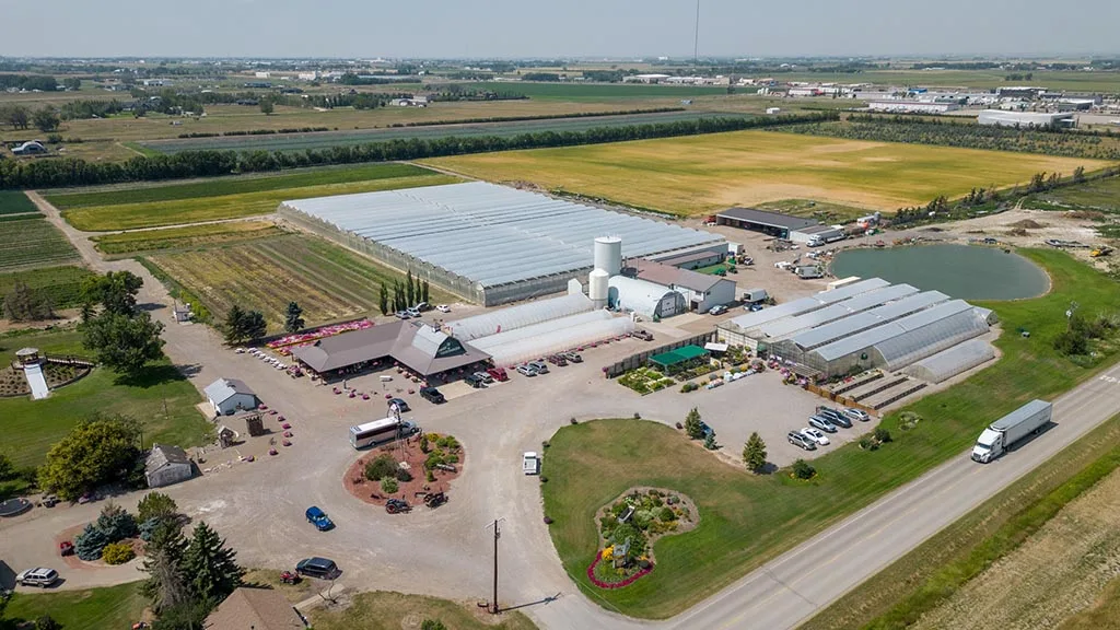 Khám Phá Lethbridge: Thiên Đường Nông Nghiệp và Văn Hóa Canada