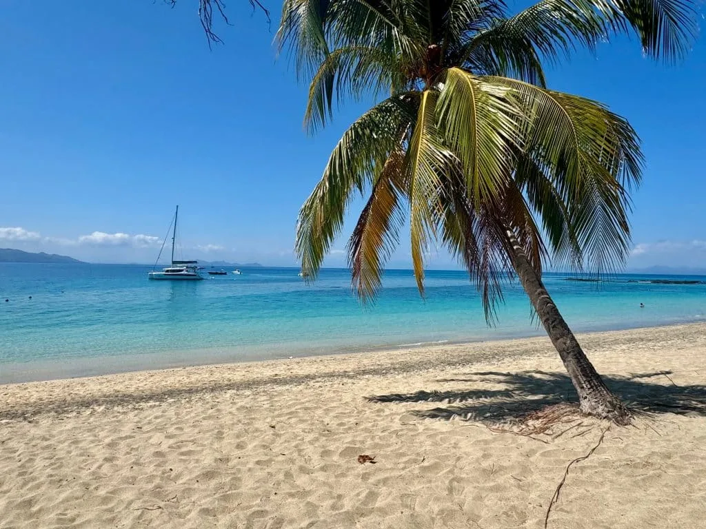 Khám Phá Madagascar: Cuộc Phiêu Lưu Hoang Dã Không Dành Cho Người Yếu Tim