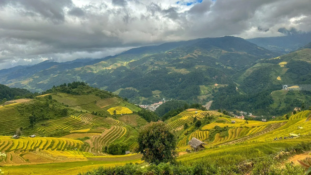 Khám Phá Mu Cang Chai: Có Nên Ghé Thăm Nơi Đây?