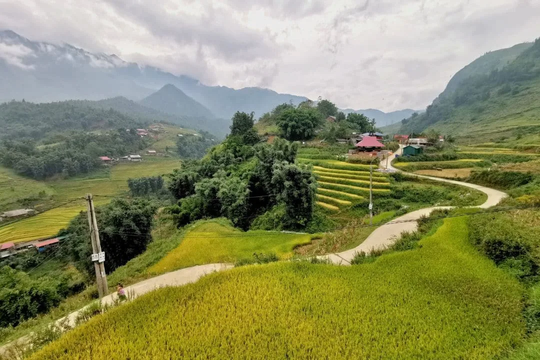 Khám Phá Mu Cang Chai: Có Nên Ghé Thăm Nơi Đây?