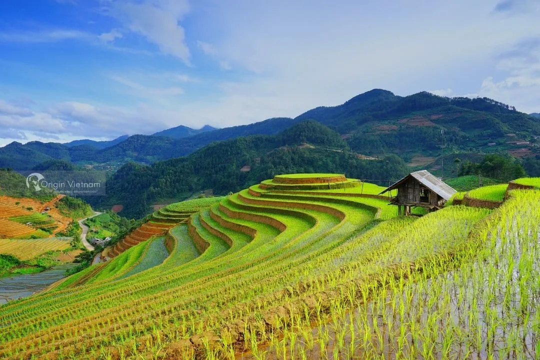 Khám Phá Mùa Nước Ở Mù Cang Chải: Hướng Dẫn Toàn Diện Về Cảnh Quan Phản Chiếu