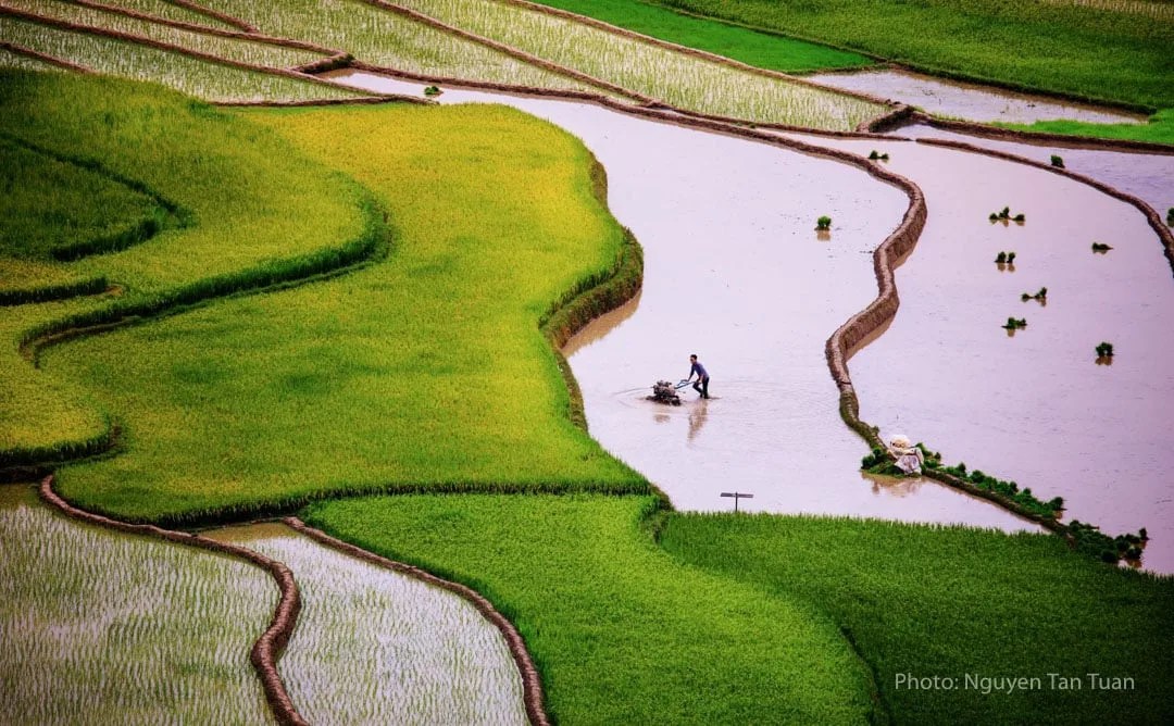 Khám Phá Mùa Nước Ở Mù Cang Chải: Hướng Dẫn Toàn Diện Về Cảnh Quan Phản Chiếu