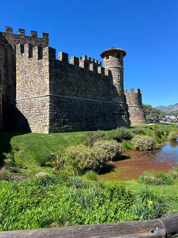 Khám Phá Napa Valley với Trẻ Em: Từ Lâu Đài Đến Những Kỳ Diệu Bí Ẩn