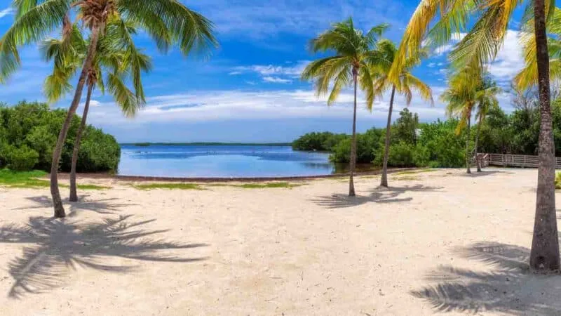 Khám Phá Những Bãi Biển Đẹp Nhất Key Largo – Thiên Đường Dành Cho Tín Đồ Biển