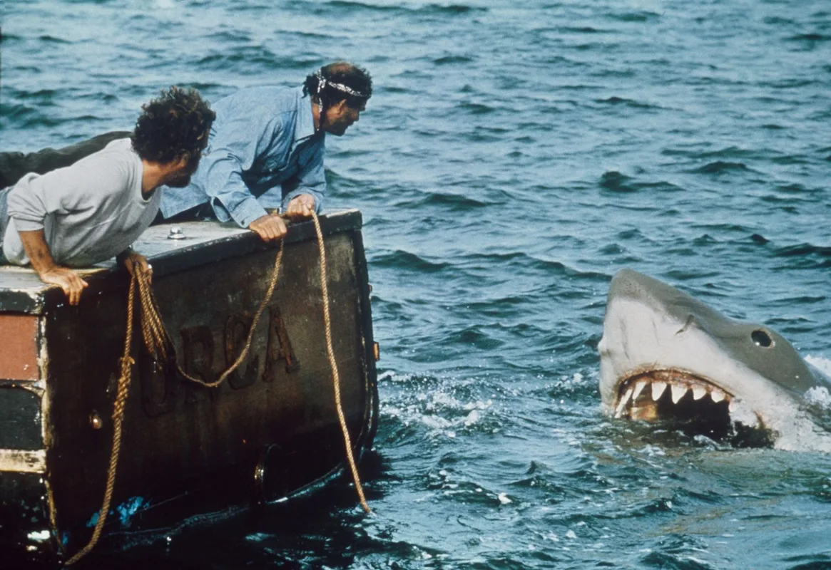 Khám Phá Những Địa Điểm Quay Phim Jaws Tại Martha's Vineyard