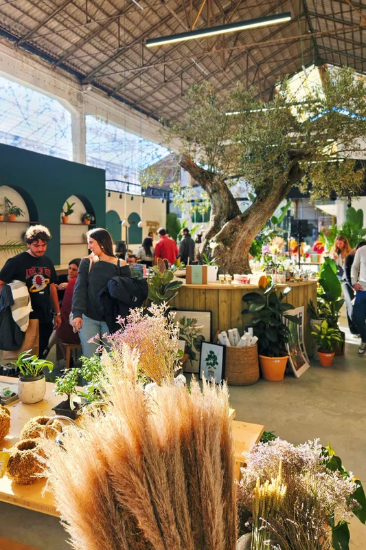 Khám Phá Những Điểm Mua Sắm Đặc Sắc Tại Lisbon: Đồ Cổ, Cá Hộp và Nhiều Hơn Thế