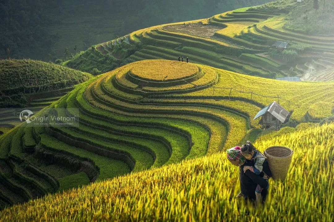 Khám Phá Những Điểm Ngắm Ruộng Bậc Thang Tuyệt Đẹp Ở Mù Cang Chải